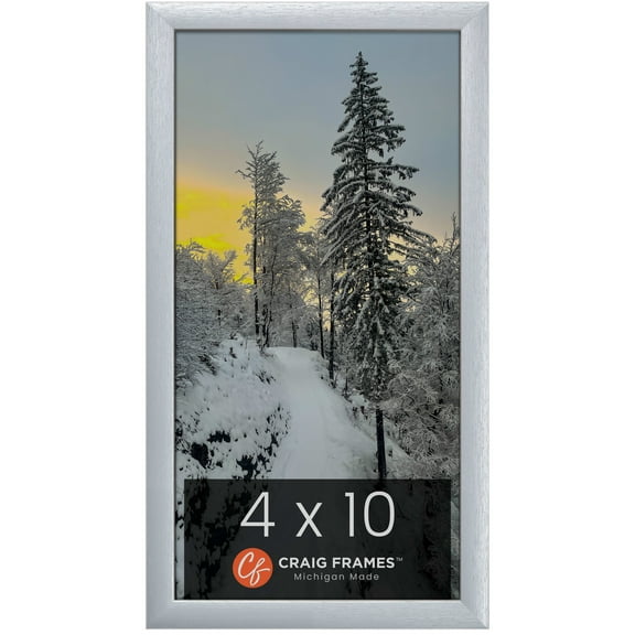 Craig Frames 23247018 Picture Frame, 4x10 inch, Brushed Silver