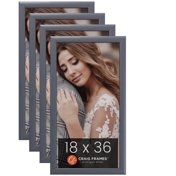 Craig Frames 23247635 18 x 36 Inch Picture Frame, Grey, Set of 4
