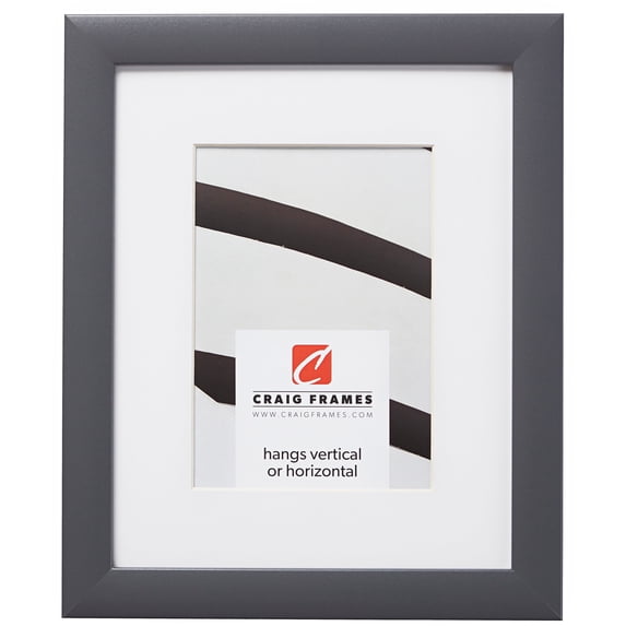 Craig Frames 23247635 20x26 inch Grey Picture Frame Matted for a 16x22 Photo
