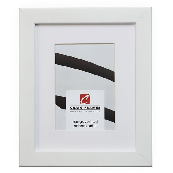 Craig Frames 26267 16x22 inch White Satin Picture Frame Matted for a 12x18 Photo