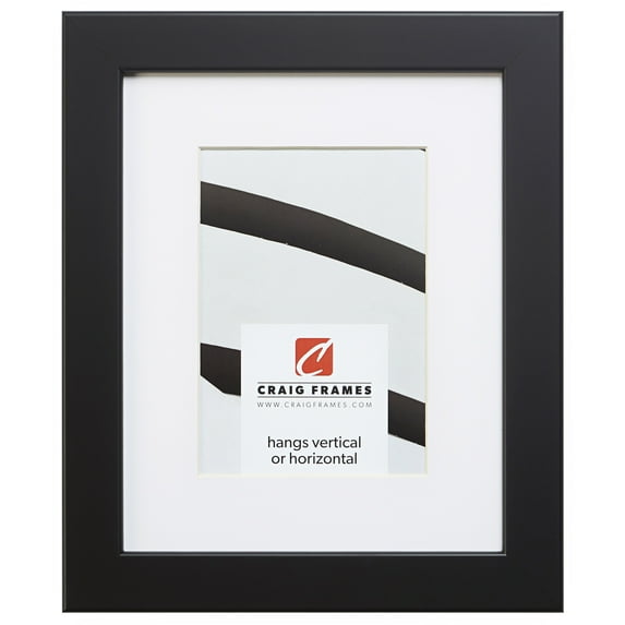Craig Frames 26273 12x16 inch Black Satin Picture Frame Matted for an 8x12 Photo