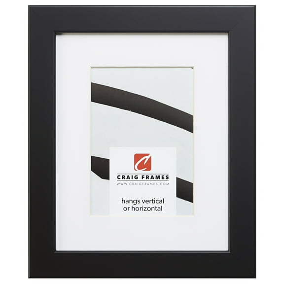 Craig Frames 26273 16x16 inch Black Satin Picture Frame Matted for a 12x12 Photo