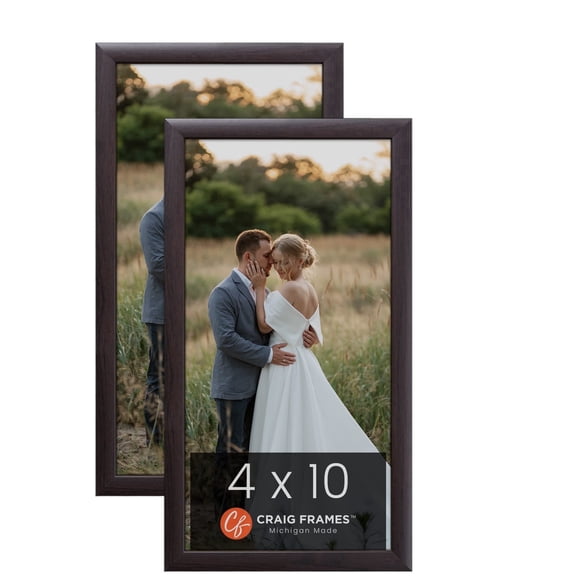 Craig Frames 4 x 10 inch Picture Frame Brazilian Walnut Brown, Set of Two