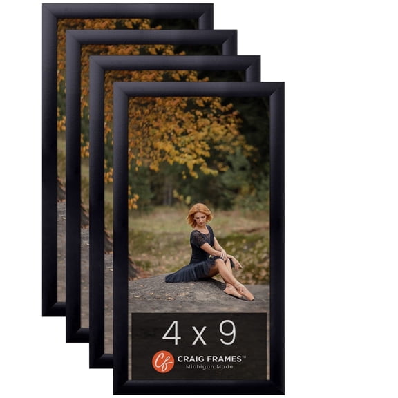 Craig Frames 4x9 Black Picture Frame 1-Inch Wide Smooth Black Gallery Rounded Moulding, Pack of 4