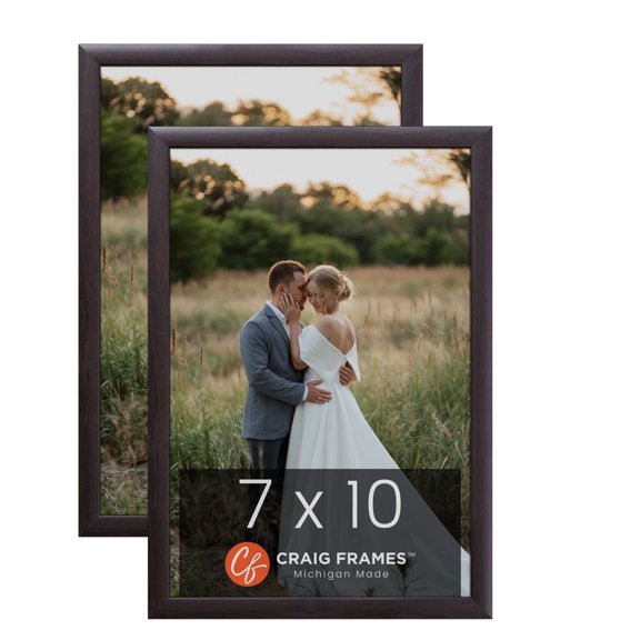 Craig Frames 7 x 10 inch Picture Frame Brazilian Walnut Brown, Set of Two