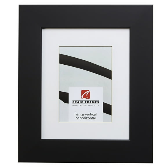 Craig Frames 74273 16x20 inch Satin Black Picture Frame Matted for a 11x14 Photo