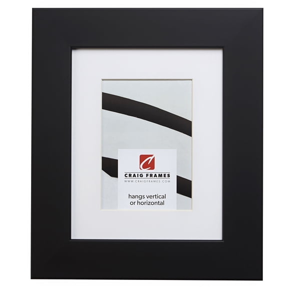Craig Frames 74273 24x24 inch Satin Black Picture Frame Matted for a 20x20 Photo