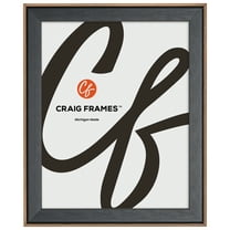 Craig Frames Acoustic, 20x30 Picture Frame, Forest Black