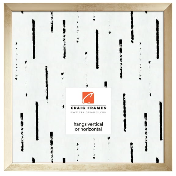 Craig Frames Alloy, 20x20 inch Picture Frame, Gold
