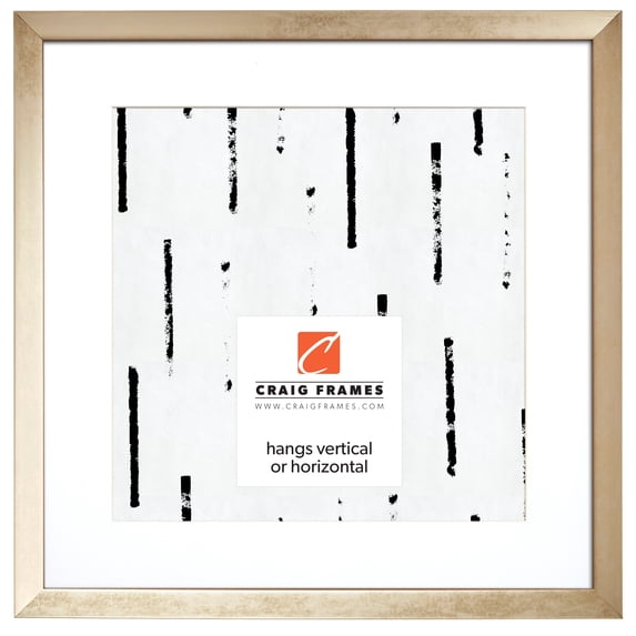 Craig Frames Alloy, 20x20 inch Picture Frame Matted for a 16x16 Photo, Gold