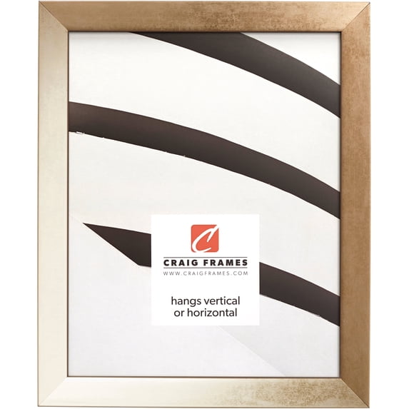 Craig Frames Alloy, 20x26 inch Picture Frame, Gold