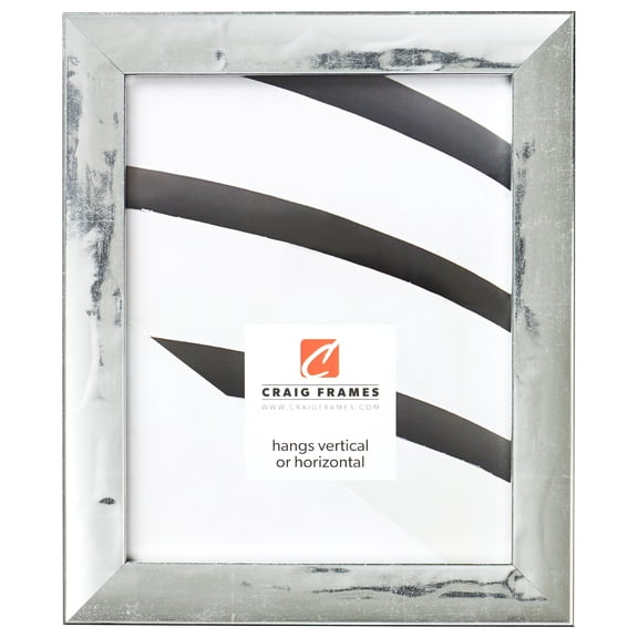 Craig Frames Allure, 4x10 inch Picture Frame, Distressed French Silver