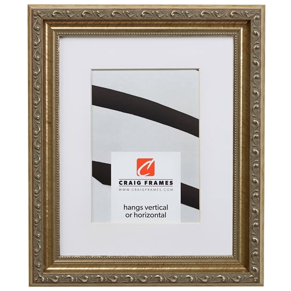 Craig Frames Ancien Ornate, 20x24 inch Antique Silver Picture Frame Matted for a 16x20 Photo