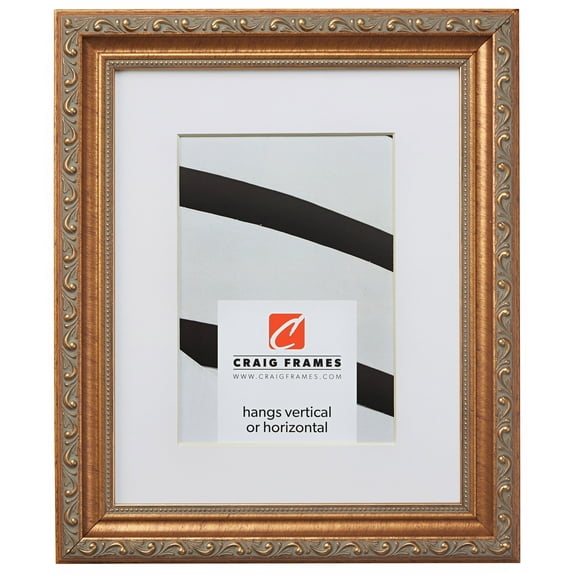 Craig Frames Ancien Ornate, 22x28 inch Antique Gold Picture Frame Matted for an 18x24 Photo