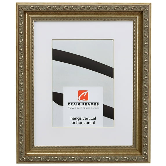 Craig Frames Ancien Ornate, 24x36 inch Antique Silver Picture Frame Matted for a 20x30 Photo