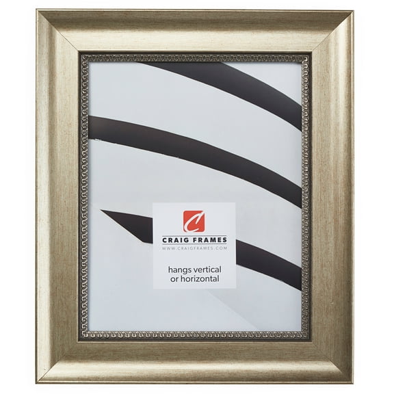 Craig Frames Annesbury, 18x24 inch Picture Frame, Queen Ann Antique Silver