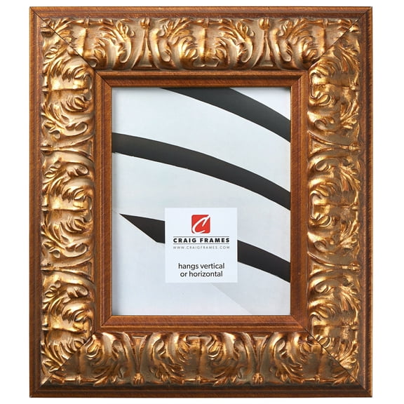 Craig Frames Barroco, 20x24 inch Picture Frame, Antique Gold Baroque