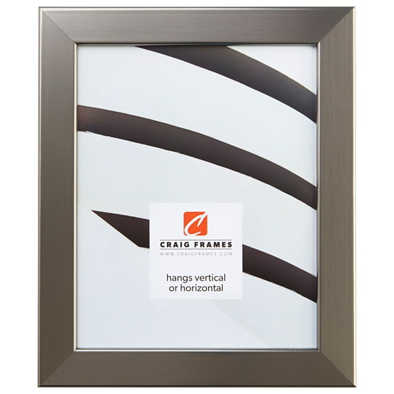 Craig Frames Bauhaus 125, 13 x 19 inch Picture Frame, Modern Stainless Silver