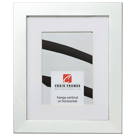 Craig Frames Bauhaus 125, 18x24 inch Brushed Silver Picture Frame Matted for a 12x18 Photo