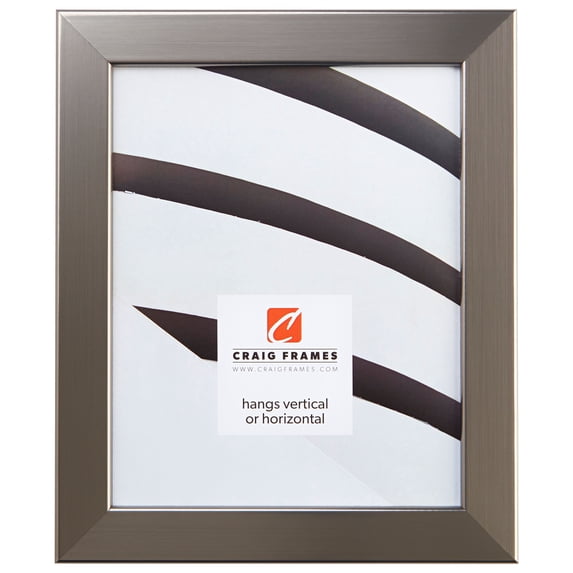 Craig Frames Bauhaus 125, 20 x 26 Inch Picture Frame, Modern Stainless Silver
