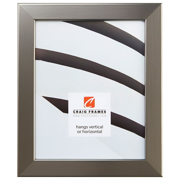 Craig Frames Bauhaus 125, 20 x 30 Inches Picture Frame, Modern Stainless Silver