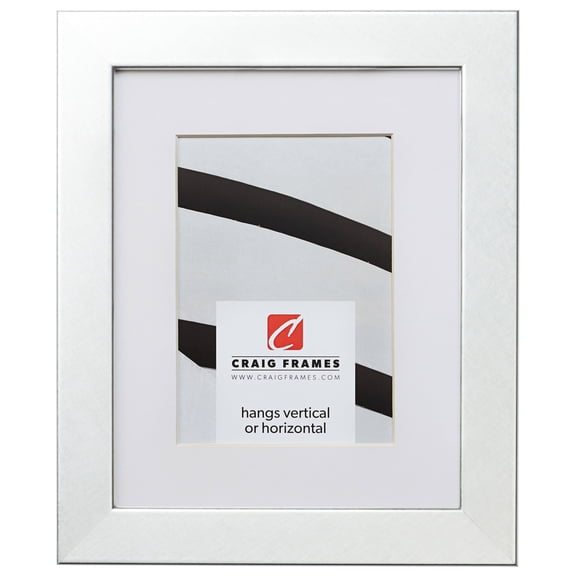 Craig Frames Bauhaus 125, 20x26 inch Brushed Silver Picture Frame Matted for a 16x22 Photo