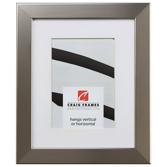 Craig Frames Bauhaus 125, 22x28 inch Stainless Silver Picture Frame Matted for an 18x24 Photo