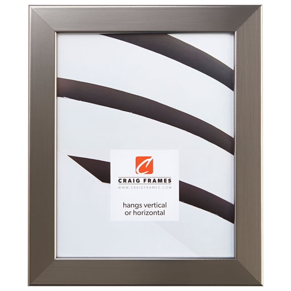 Craig Frames Bauhaus 125, 24 x 24 inch Picture Frame, Modern Stainless Silver