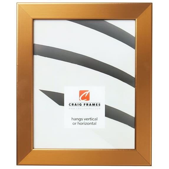 Craig Frames Bauhaus 125, 24x24 inch Picture Frame, Modern Stainless Brass