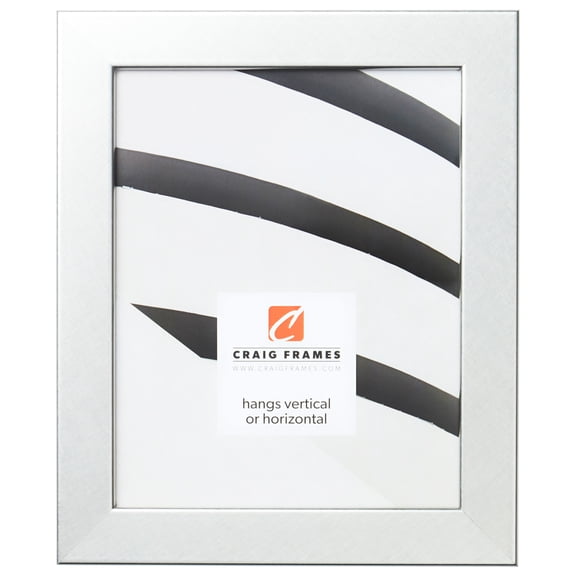 Craig Frames Bauhaus 125, 24x30 inch Picture Frame, Modern Brushed Silver