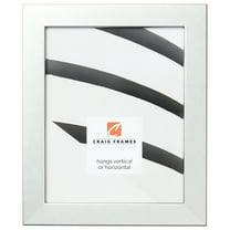 Craig Frames Bauhaus 125, 24x30 inch Picture Frame, Modern Brushed Silver