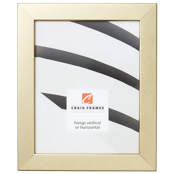 Craig Frames Bauhaus 125, 4x10 inch Picture Frame, Modern Brushed Gold
