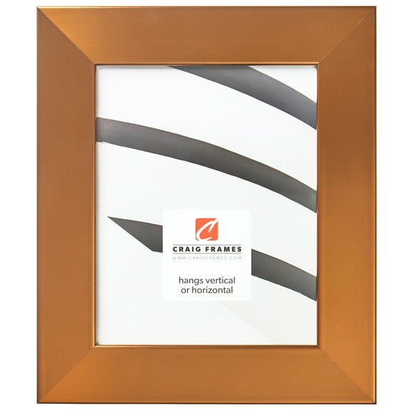 Craig Frames Bauhaus 200, 11x14 inch Picture Frame, Modern Stainless Brass