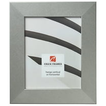 Craig Frames Bauhaus 200, 12x16 inch Picture Frame, Modern Brushed Silver