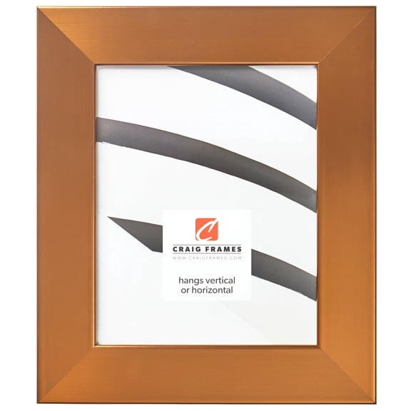 Craig Frames Bauhaus 200, 12x36 inch Picture Frame, Modern Stainless Brass