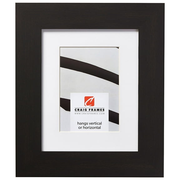 Craig Frames Bauhaus 200, 14x18 inch Black Coffee Picture Frame Matted for a 10x13 Photo