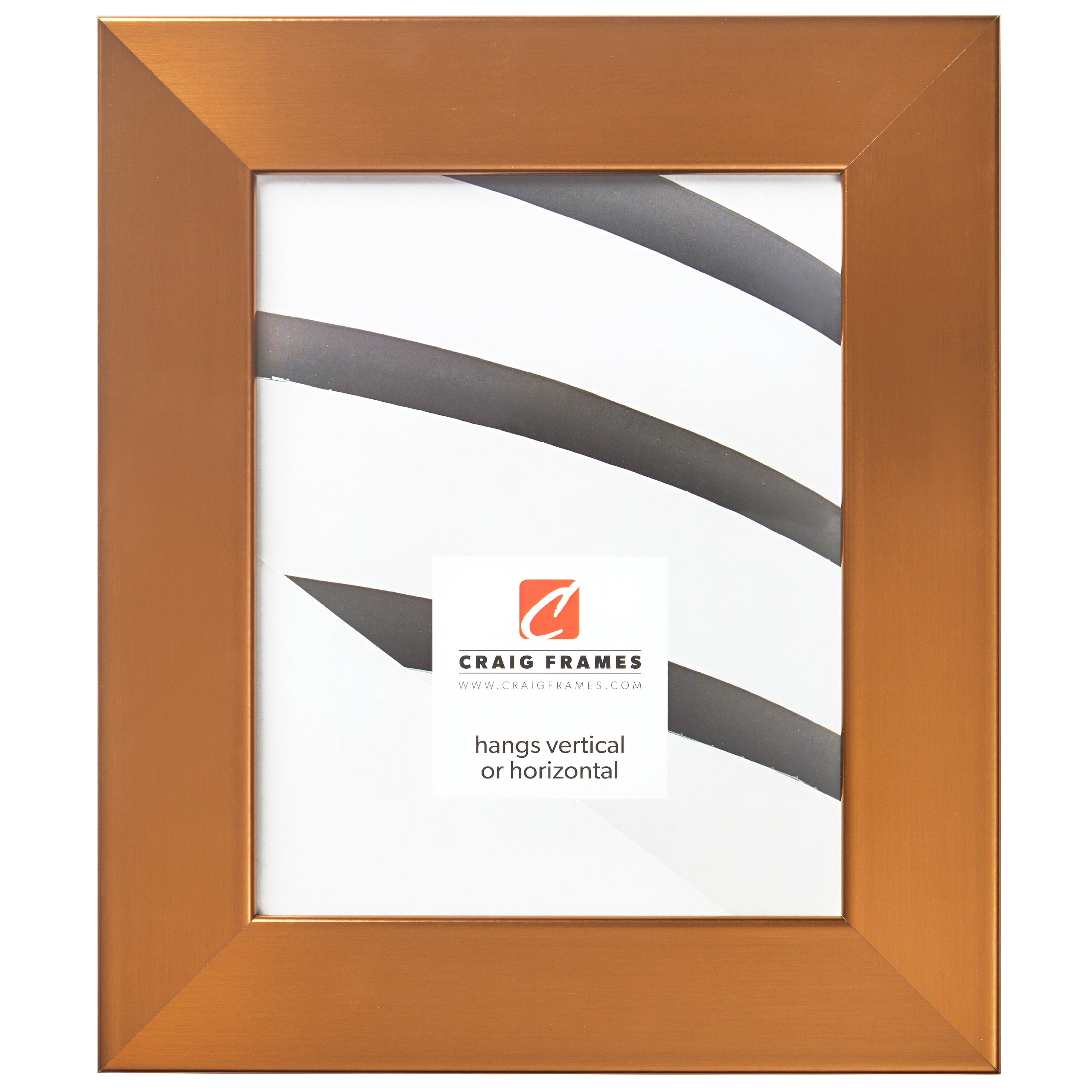 Craig Frames Bauhaus 200, 18x24 inch Picture Frame, Modern Stainless Brass