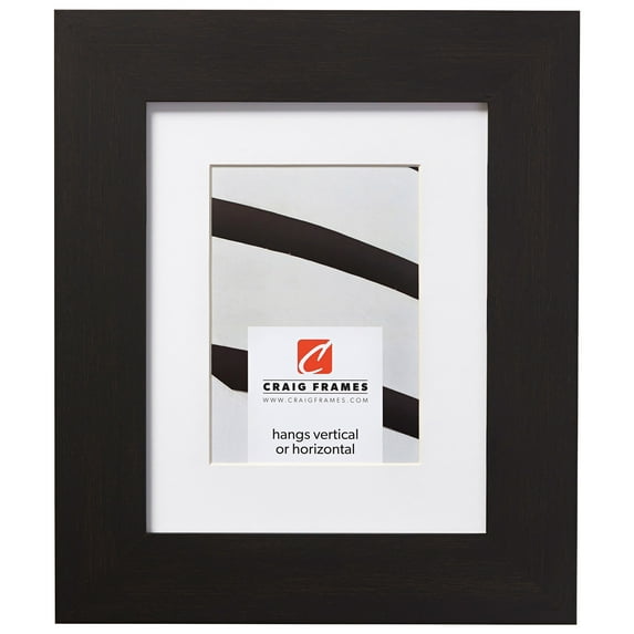 Craig Frames Bauhaus 200, 20x24 inch Black Coffee Picture Frame Matted for a 16x20 Photo