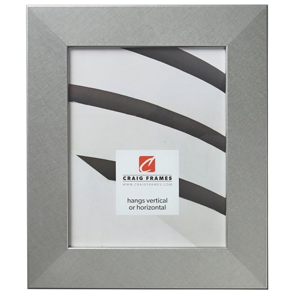 Craig Frames Bauhaus 200, 20x24 inch Picture Frame, Modern Brushed Silver