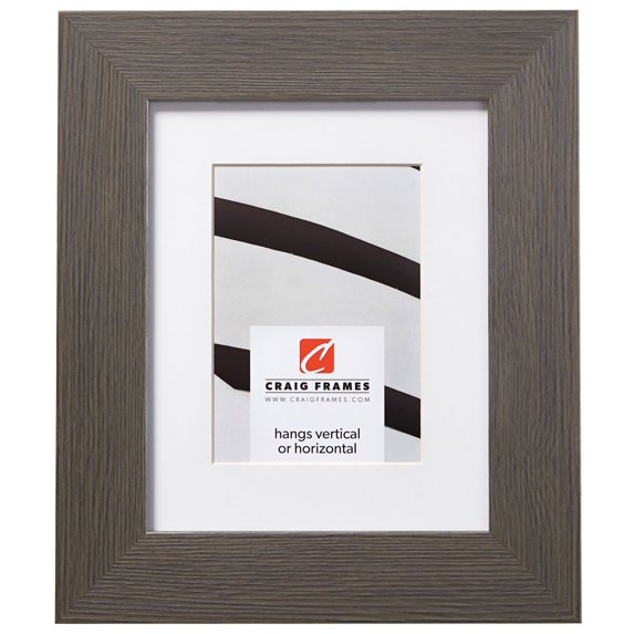 Craig Frames Bauhaus 200, 20x26 inch Grey Picture Frame Matted for a 16x22 Photo
