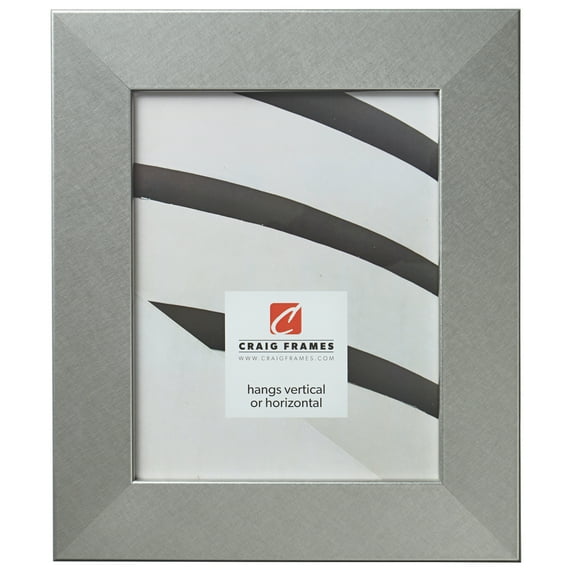 Craig Frames Bauhaus 200, 20x26 inch Picture Frame, Modern Brushed Silver