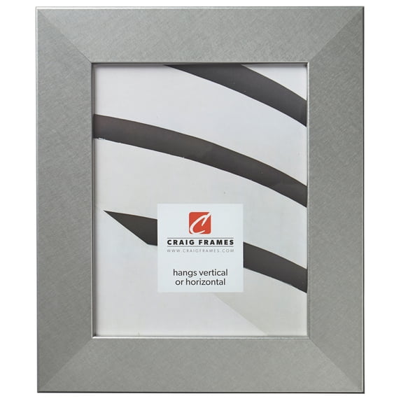 Craig Frames Bauhaus 200, 20x27 inch Picture Frame, Modern Brushed Silver