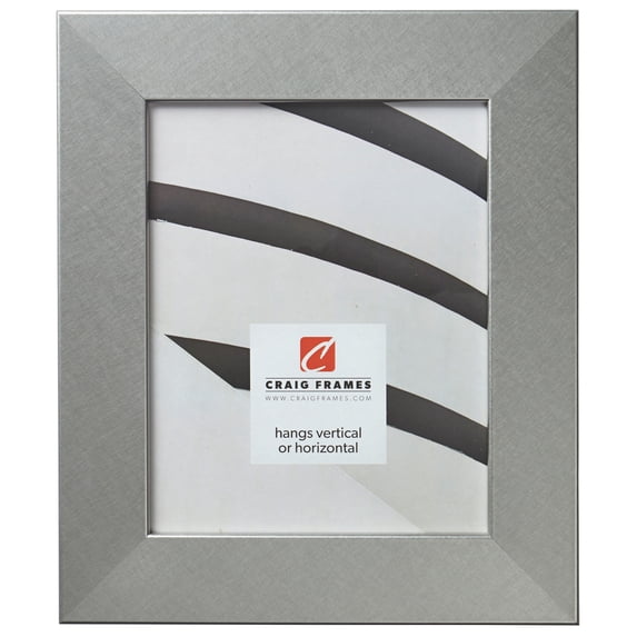 Craig Frames Bauhaus 200, 20x27 inch Picture Frame, Modern Brushed Silver