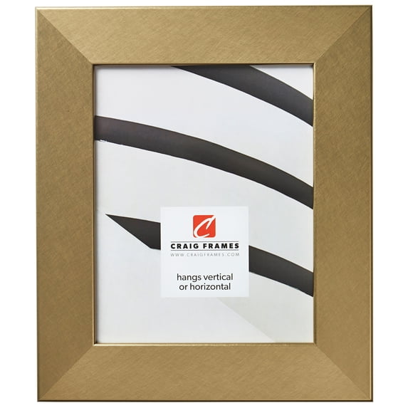 Craig Frames Bauhaus 200, 20x30 inch Picture Frame, Modern Brushed Gold