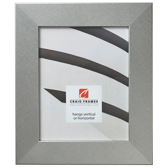 Craig Frames Bauhaus 200, 20x30 inch Picture Frame, Modern Brushed Silver