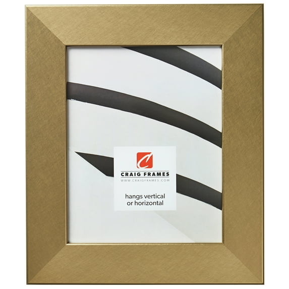 Craig Frames Bauhaus 200, 24x24 inch Picture Frame, Modern Brushed Gold