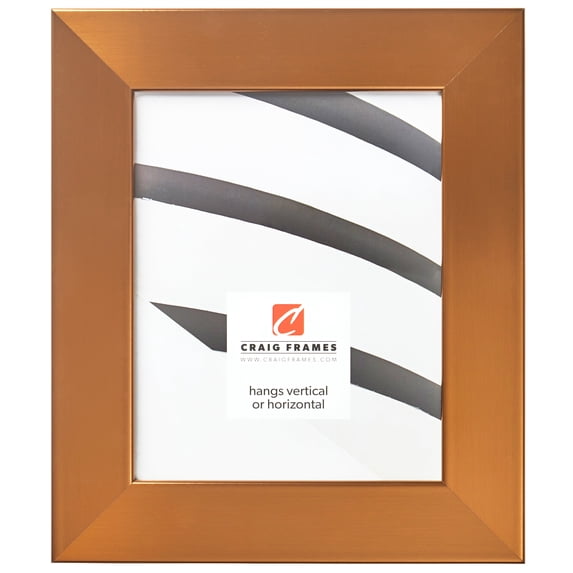 Craig Frames Bauhaus 200, 5x7 inch Picture Frame, Modern Stainless Brass