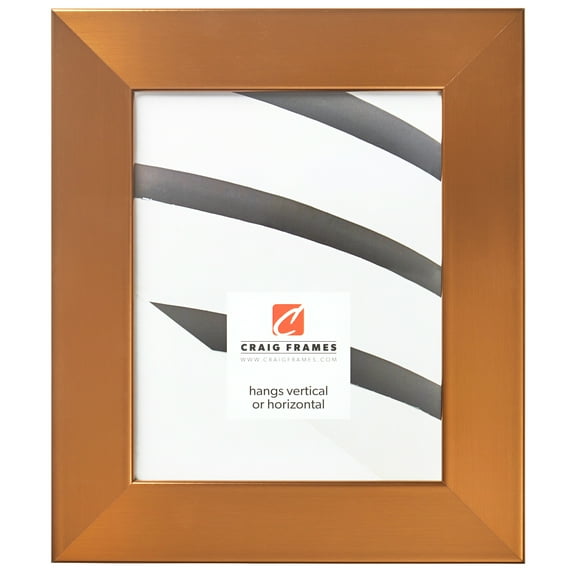 Craig Frames Bauhaus 200, 8x12 inch Picture Frame, Modern Stainless Brass