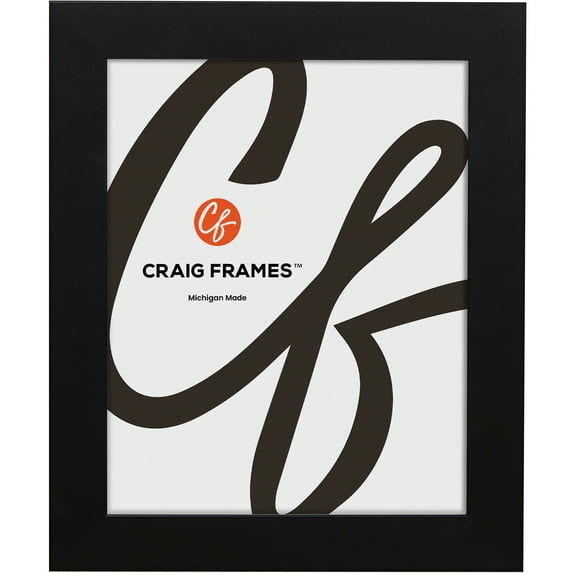 Craig Frames Bauhaus, Modern 1.25" Satin Black Picture Frame, 17x23 inch