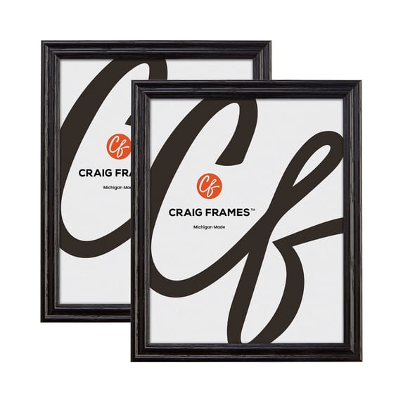 Craig Frames Black 24x36 inch Hardwood Picture Frame Wiltshire 200 Series, Set of Two